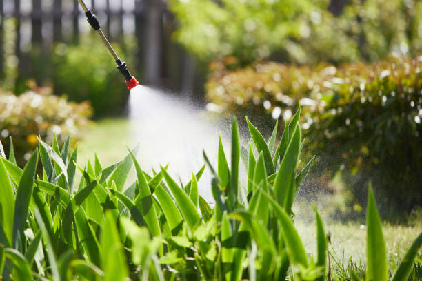 Tamper-Resistant Bait Stations for Rodents in North Enid