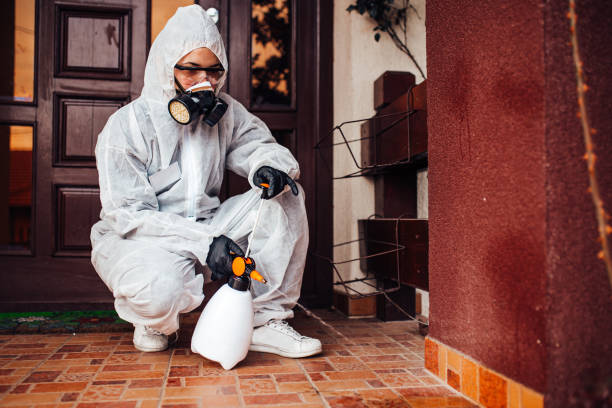 Attic and Crawl Space Rodent Treatment in North Enid